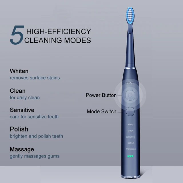 Seago Electric Sonic Toothbrush USB Rechargeable Adult 360 Days Long  Battery Life with 4 Replacement Heads