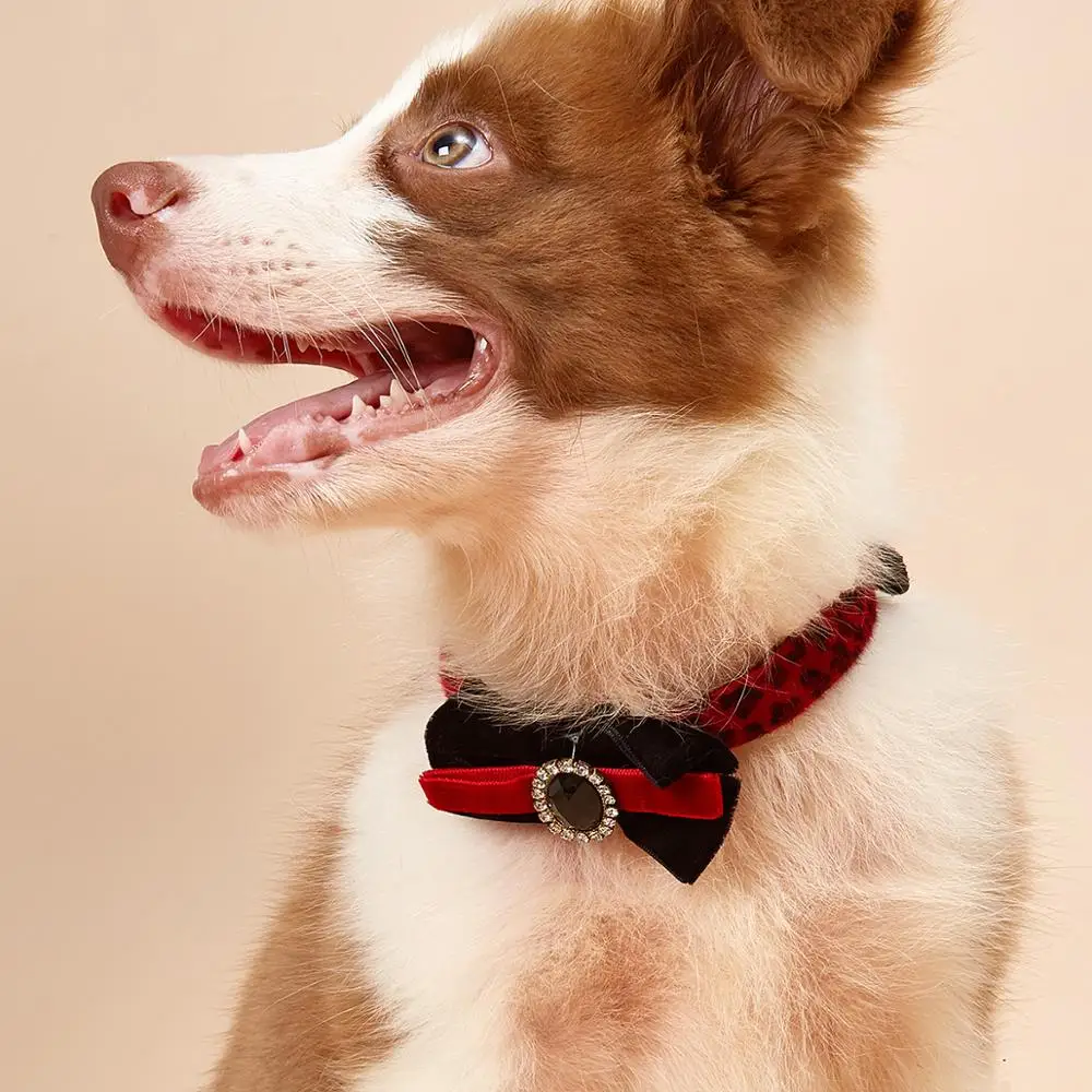 

Collar and Leash Set，Adjustable，Nylon Collar with a Bowknot and Red Leopard for Small，Medium & Large Dogs