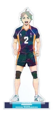 43Cm Hikari Studio Gk Haikyuu!! Shoyo Hinata Anime Action Figure Limited  Edition Garage Kit Model Statue Toys Gift - AliExpress