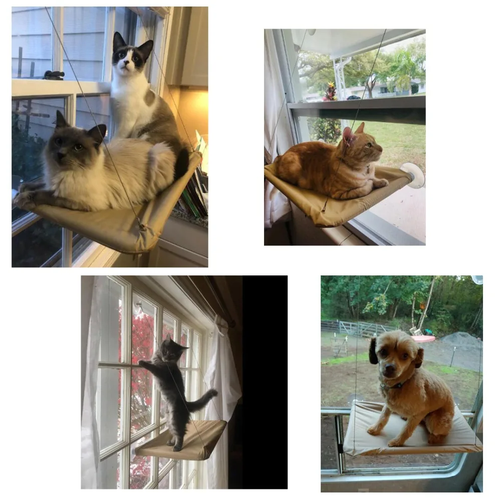 Cama Colgante para Mascotas Hamaca para Gatos Asiento de sol Montaje en  Ventana