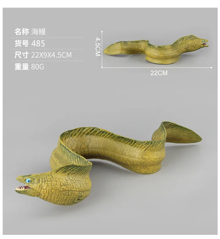 9135117008_920392923