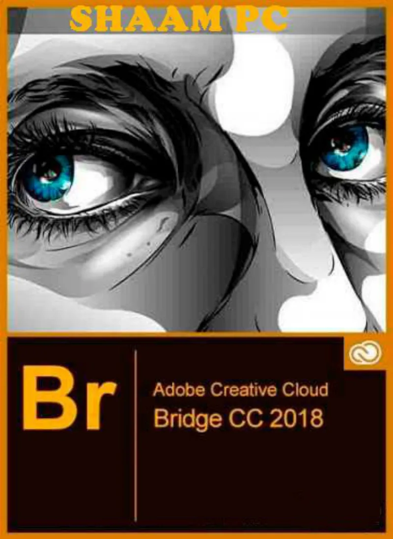 Программное обеспечение для управления цифровыми активами Bridge CC 2018 быстрее и проще в использовании купите