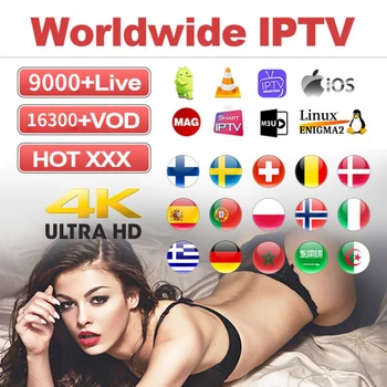 

IPTV Spain Arabic Bulgaria 1 Year IPTV Subscription M3u Code Portugal Belgium Germany Smart Enigma2 IOS IPTV Andriod Smart Tv