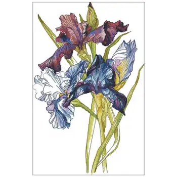 

Rainbow iris flower patterns Counted Cross Stitch 11CT 14CT 18CT DIY Cross Stitch Kits Embroidery Needlework Sets home decor