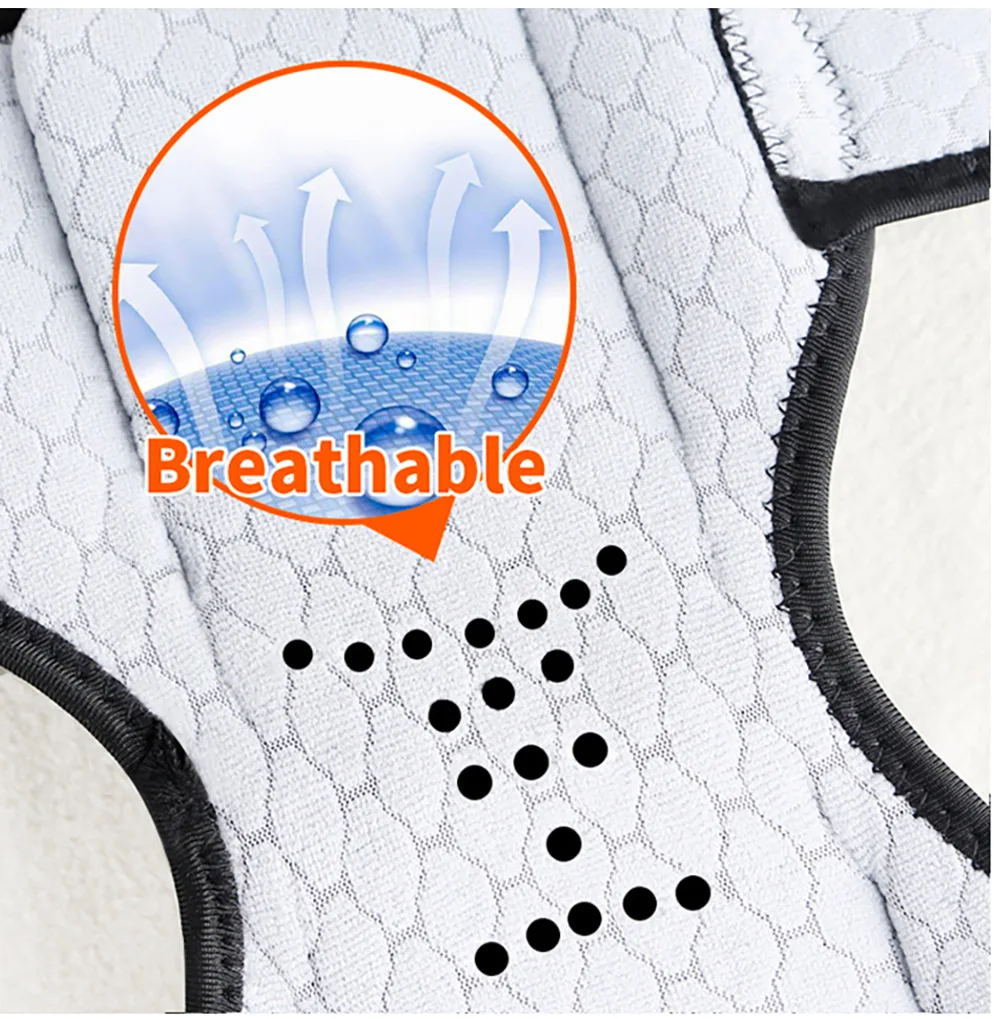 O1CN01ACgg0a21P3Wp5C81c_!!62446976