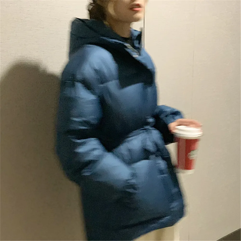 Winter Thicken Coats Women Parkas 2019 New Casual Hooded Loose Down Jacket Female Warm Cotton Padded Winter Coat Women Z1350 (18)