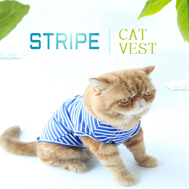 cooling vests for cats