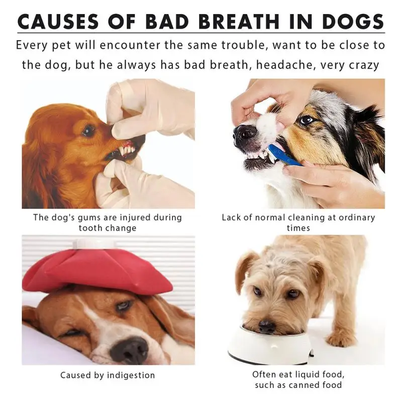 Домашний зубной спрей для собак breath freshener. Средства для освежения дыхания животных для собак. Гель для кошек и собак platinum 3-in-1 classic для полости рта 120мл. Средства для освежения дыхания животных для собак. Тропиклин для собак.