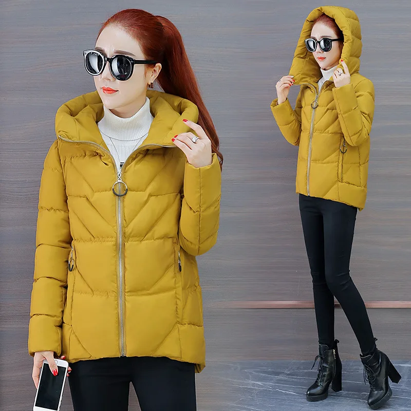 

Cotton Coat Female Winter 2019 New Style Korean-style down Coat Short Cotton-padded Jacket Thick Winter down Feather Cotton Over