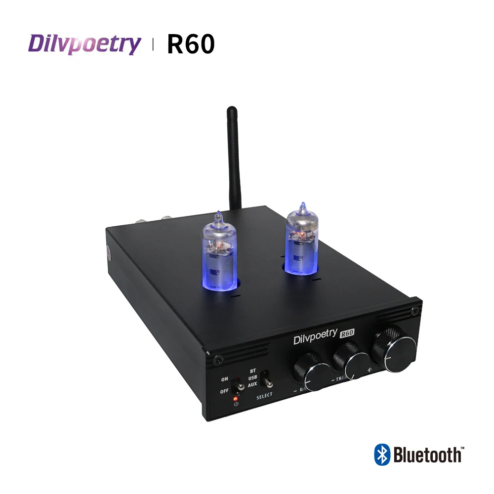 Dilvpoetry-R60 Digital power amplifier 2.0 tube