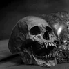 Trendy Male Make Old Vintage Vampire Skull Open Jaw Rings Men Skull Biker Rock Roll Gothic Boy Punk Jewelry Ring ► Photo 2/5