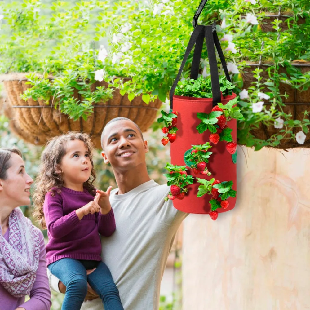 3 - ZZP200527821_0846061402610559185