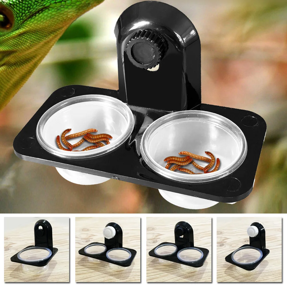 Reptile Tank Insect Spider Ants Nest Food Water Feeding Bowl Terrarium Breeding Feeders Box font b