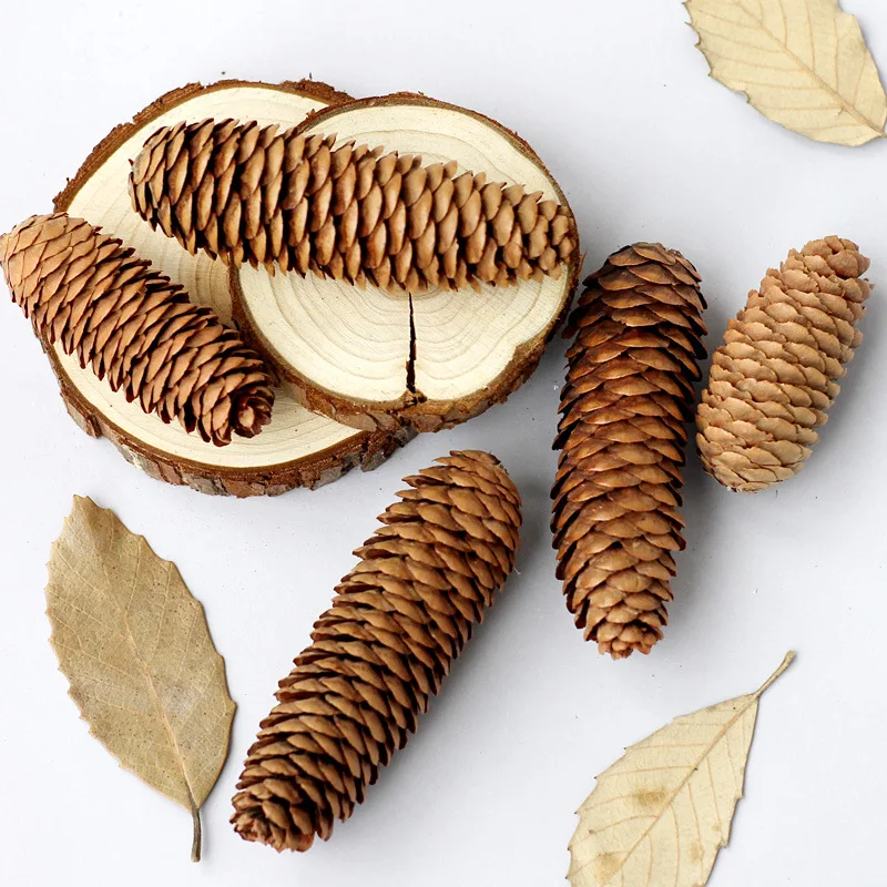 

Spruce Pine Cones Christmas Tree Decoration Pinecone Natural Dried Flower Dried Fruit Long And Loose Fruit Scale Pinecone Wholes