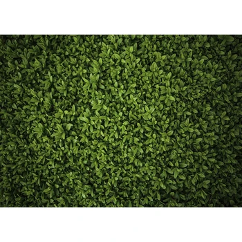 

Green Grass Leaves Photography Backdrops Baby Shower First Birthday Decoration Photo Background Spring Wedding Bridal Shower