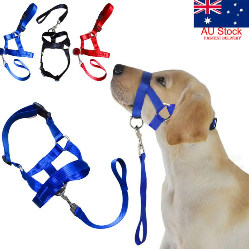 Creative Dog Halter Halti Training Head Collar Gentle Leader Harness Nylon Breakaway All Seasons