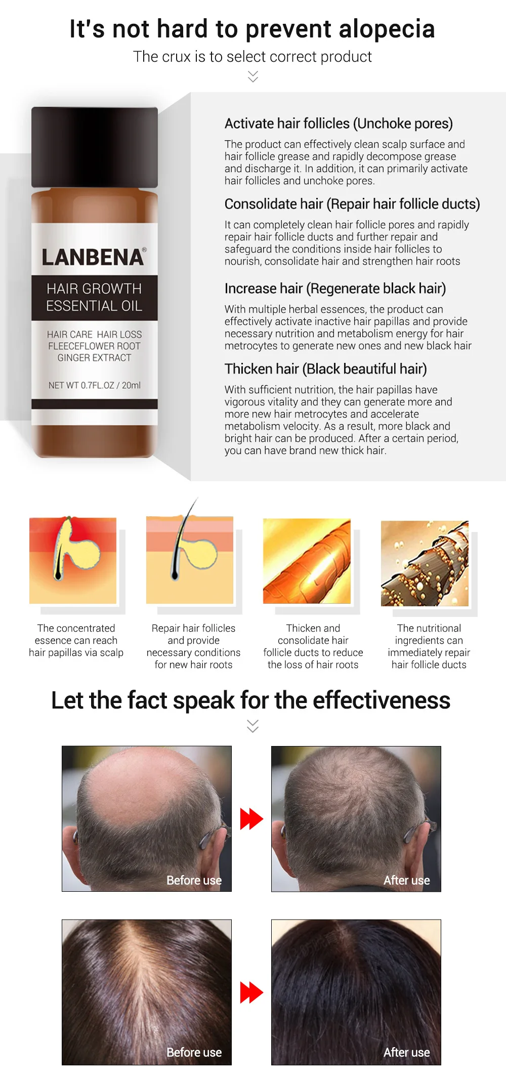 10477464809_130405746