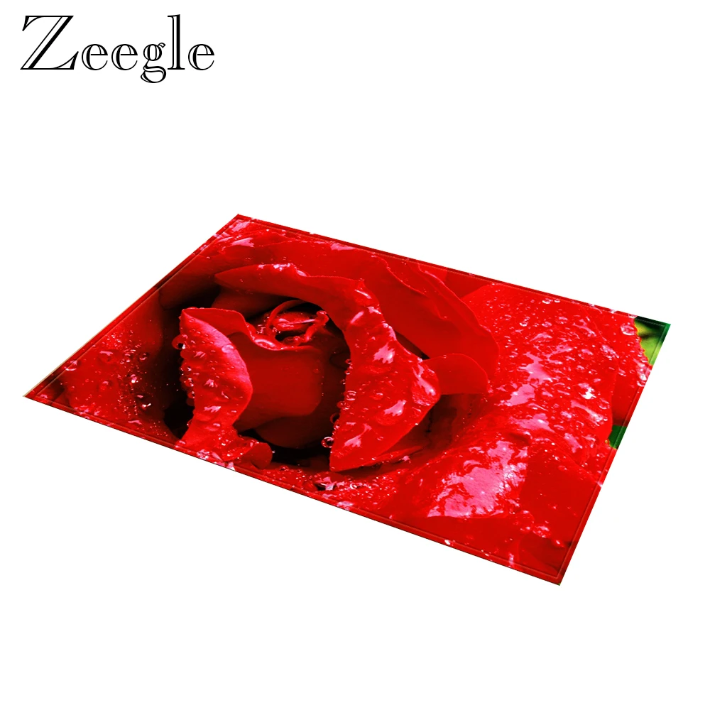 

Zeegle Floor Mat Doormat Anti-slip Bathroom Carpet Shower Mat Absorbent Outdoor Rug Kitchen Carpet Washable Hallway Rug Foot Mat