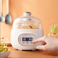 220V 1L Automatic Electric Stewing Machine Glass Baby Food Slow Stewer For Home Multi Cooker Food Cooking Pot White/Green Color 2