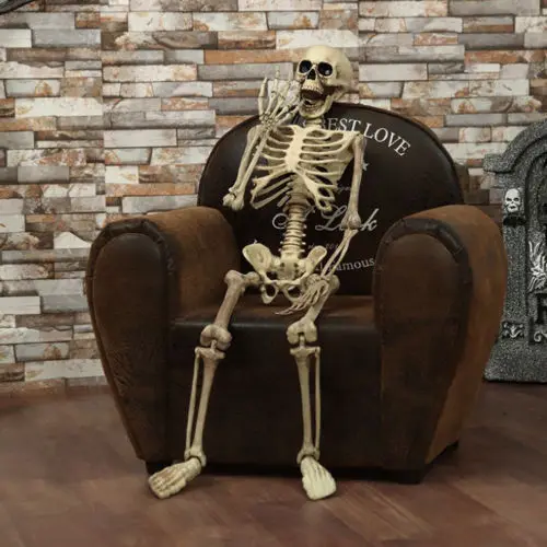 

Halloween Prop Decoration Skeleton Full Size Skull Hand Life Body Anatomy Model Decor