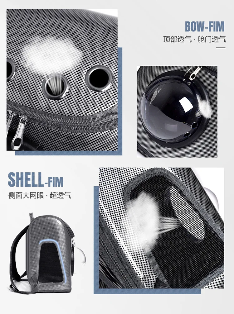 12055920598_686886075