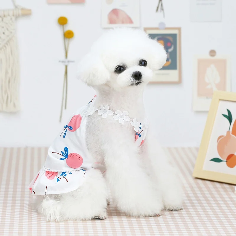 Dog Dress Skirt Summer Print Vest Pet Clothes for Small Dogs Yorkies Chihuahua Princess Dresses Puppy Clothing T-shirt