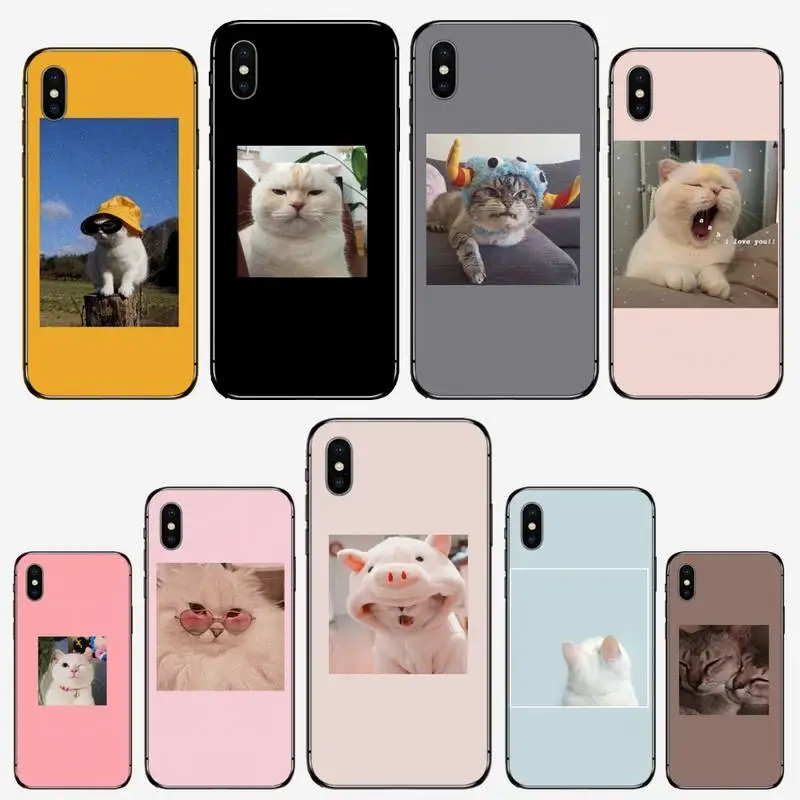 

Cute cats photos designs interesting Phone Case for iPhone 11 12 pro XS MAX 8 7 6 6S Plus X 5S SE 2020 XR