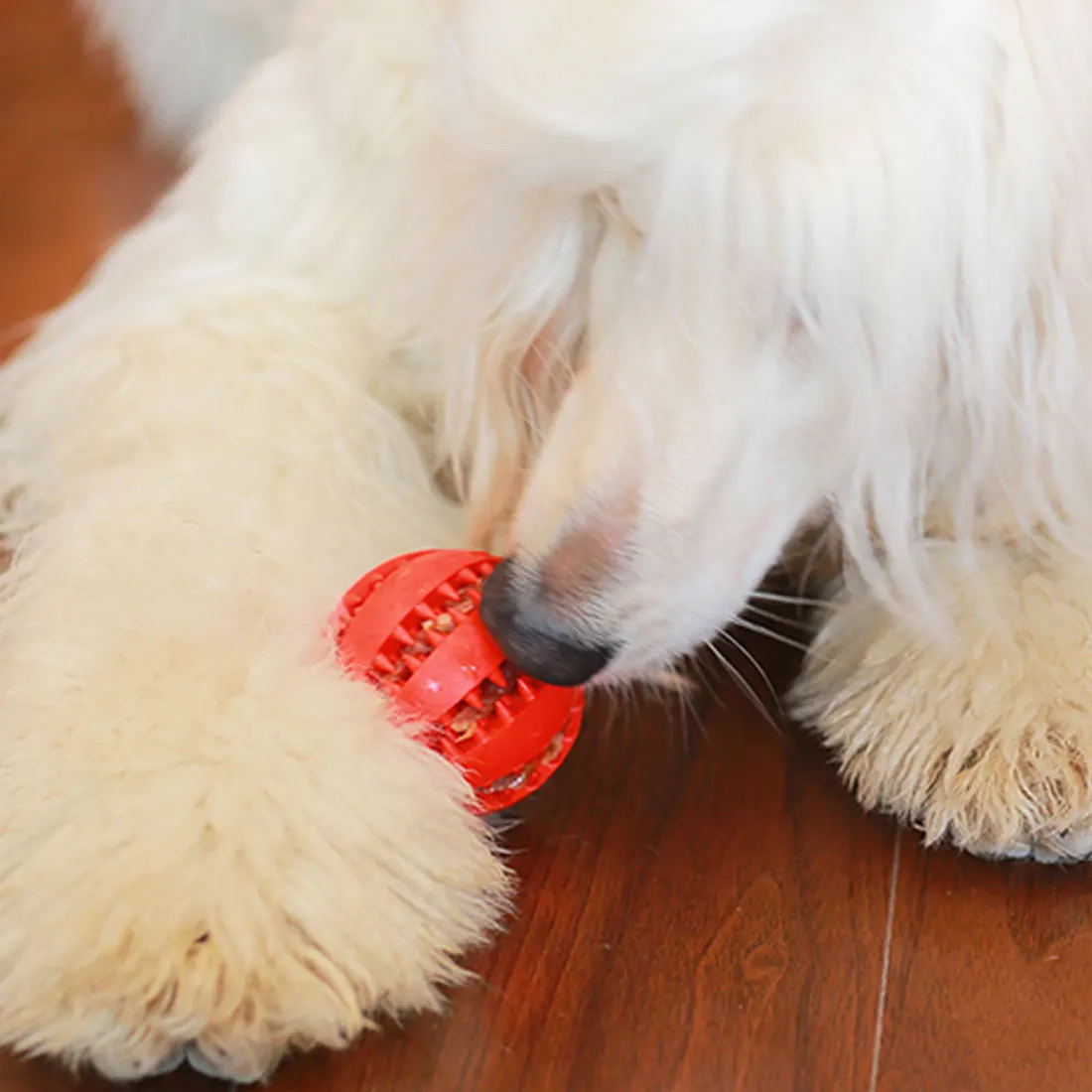Забавный интерактивный эластичный шарик игрушки для собак жевательные игрушки для собак зуб чистый шар еды Экстра-жесткий резиновый мяч