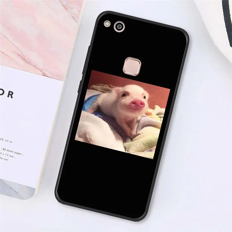 Cute Little Pink Pet Pig