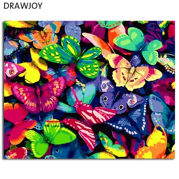 

DRAWJOY Butterfly Framed Picture Painting & Calligraphy DIY Painting By Numbers On Canvas Coloring By Numbers Home Decor