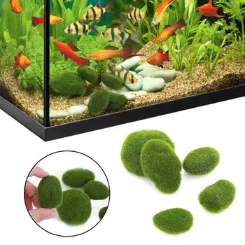 

5PCS Moss Ball Aquarium Moss Ball Ornament Tank Marimo Fish