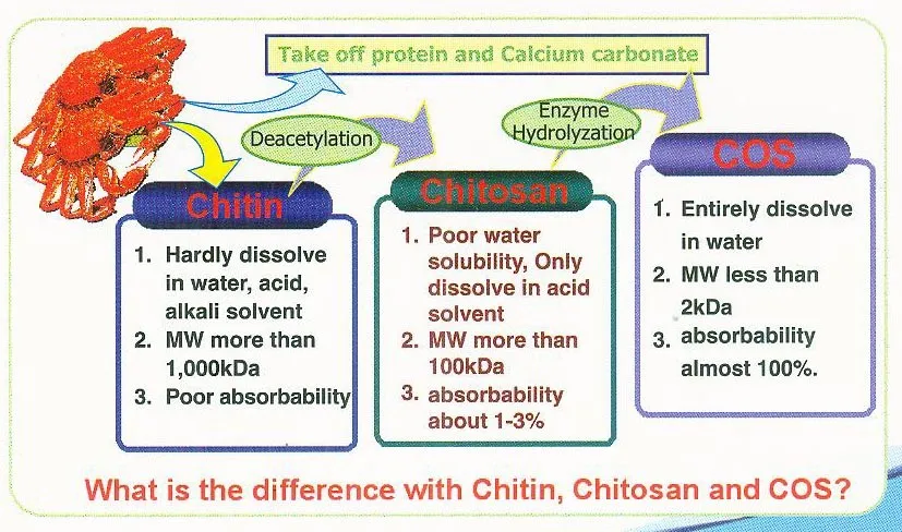 difference in chitosan and COS_zpsj1zepvcs