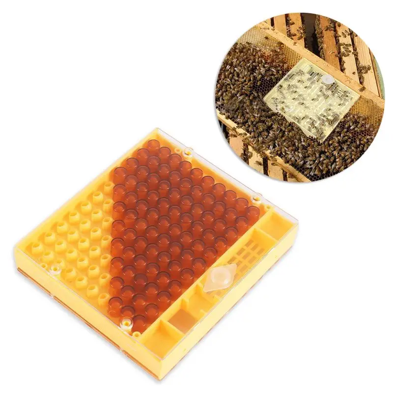 Caja de celdas de apicultura Bee Queen, panal de abejas de plástico, jaula de abejas, equipo de apicultura de aislamiento