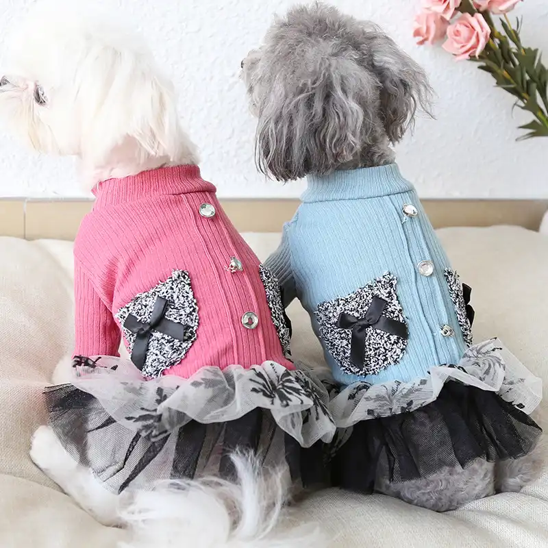Girl dog jackets Clearance