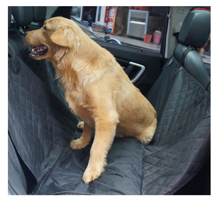 QQ截图20200916085603_副本