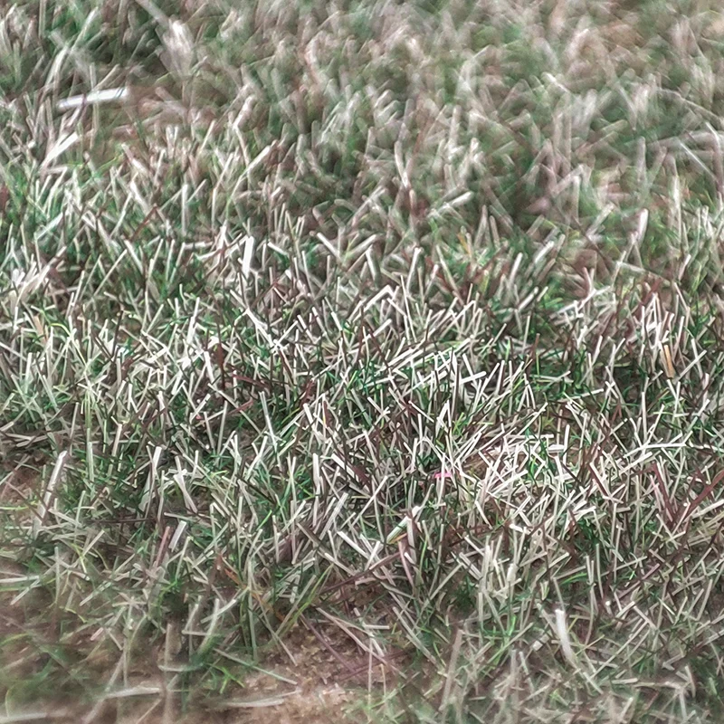 Premium 3mm Blended Season Static Grass - Perfect for Model Railway and Miniature Landscapes