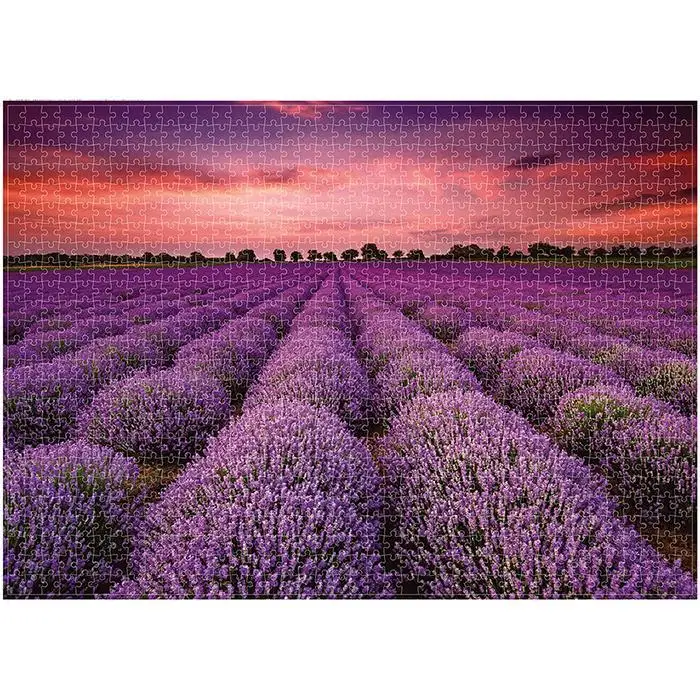 1000 шт всемирно известное строение фотообои Пазлы для украшения фрески Паззл-конструктор Развивающие игрушки для детей