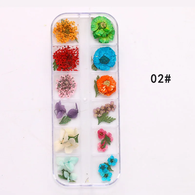 Горячие настоящие сушеные цветы 3D дизайн декора ногтей DIY Советы Маникюр 12 цветов Мода CNT 66