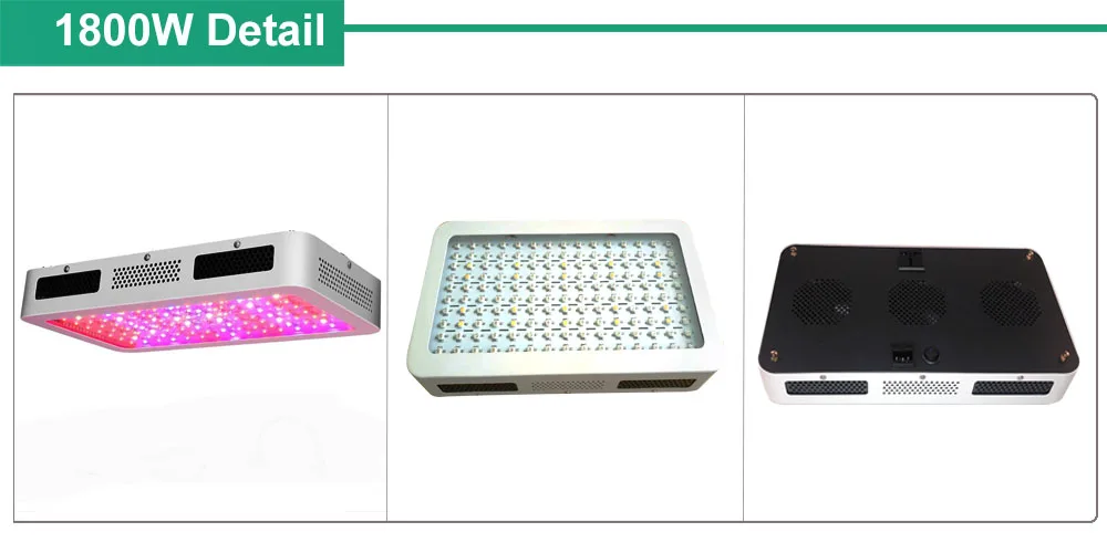 1800W DETAILS 1