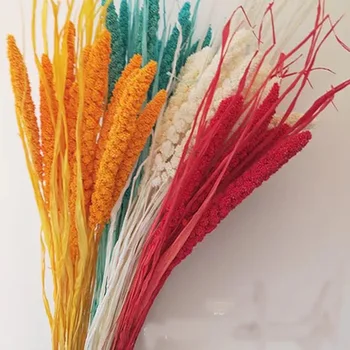 

Dried Flowers 12pcs/26cm Natural Dry Coontail,Display Floral For Wedding Favor Diy Home Decore,Valentine's Day box flower gift