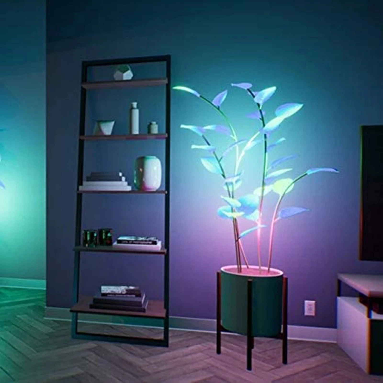 Programmable night light clearance