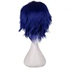 QQXCAIW Men Short Costume Cosplay Wig Boys Dark Blue 30 Cm Heat Resistant Synthetic Hair Wigs ► Photo 3/4