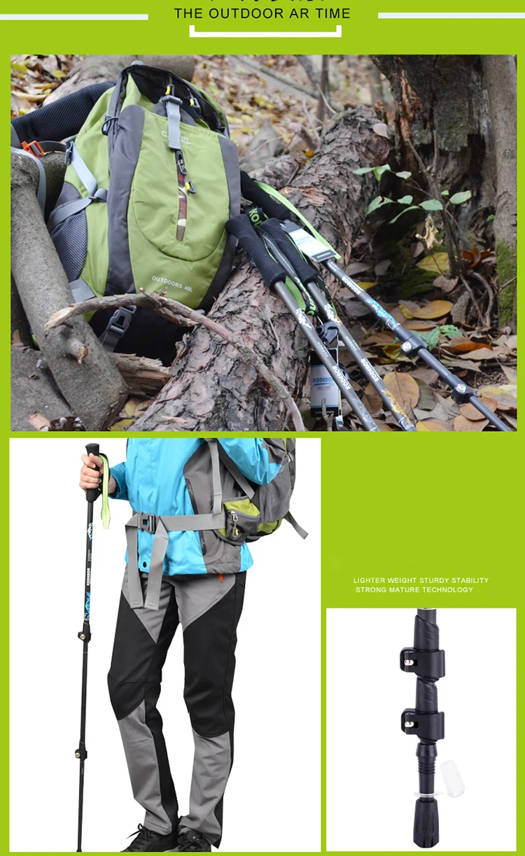 8741051690_1185132737