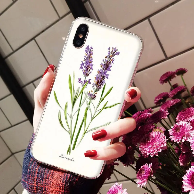 Simple lavender Purple flowers