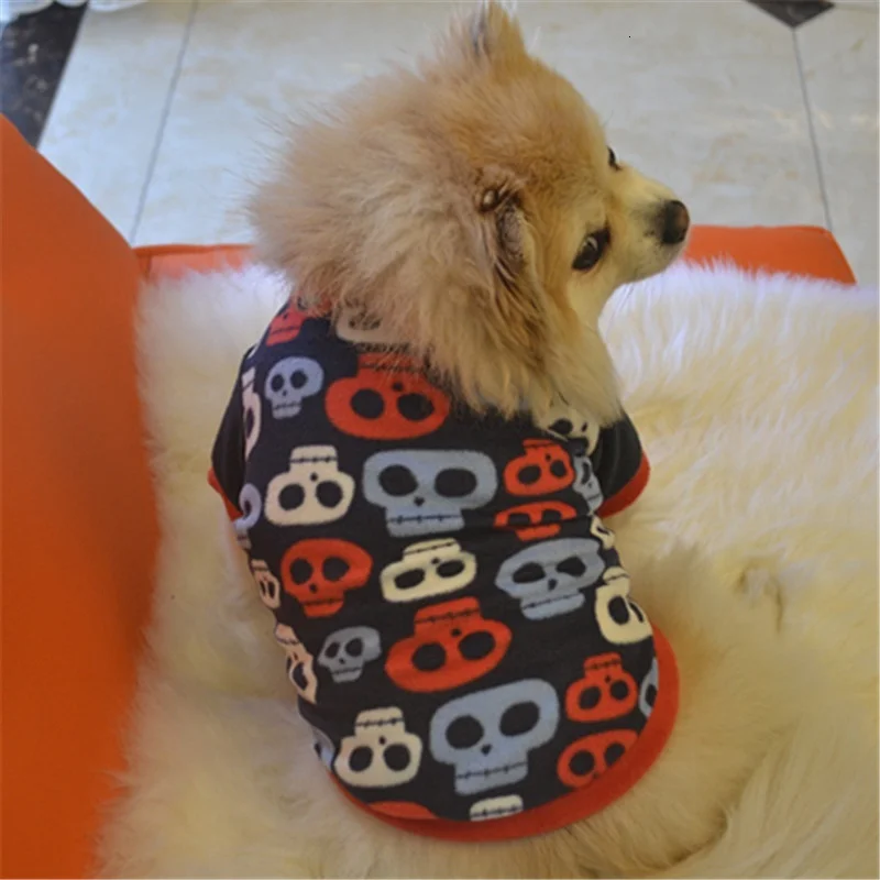 dog apparel accessories