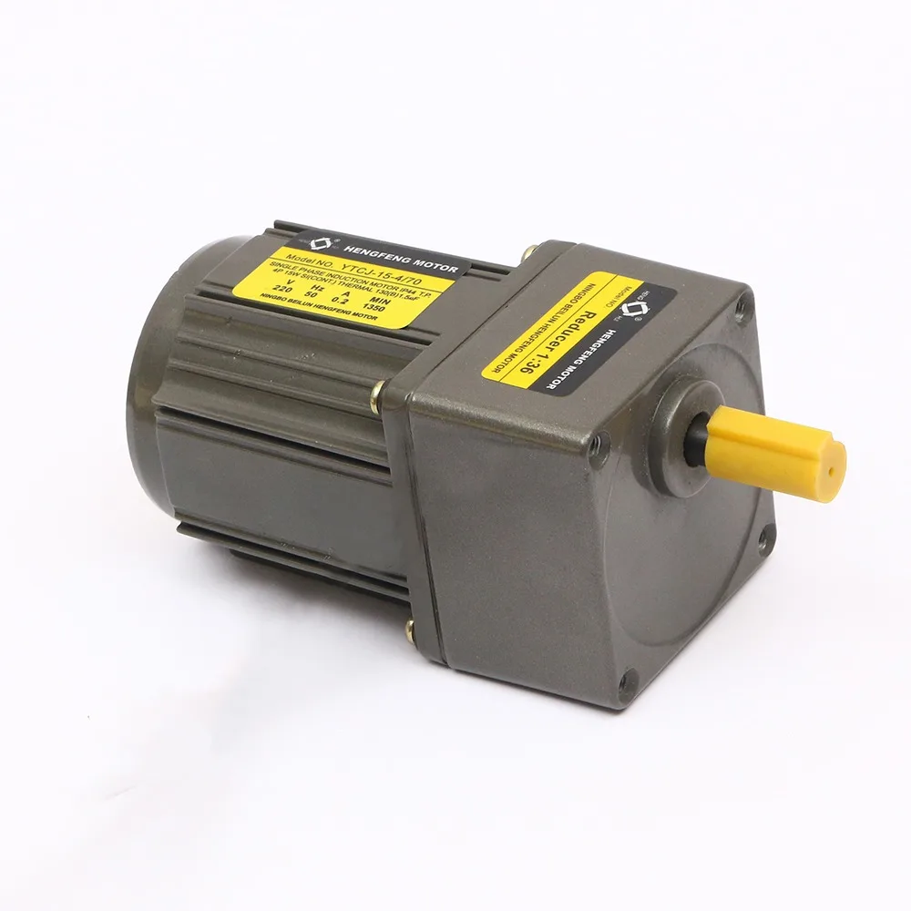 

15W 500RPM 4 poles 50/60Hz Reversible Small AC Gear Motor with Gearbox