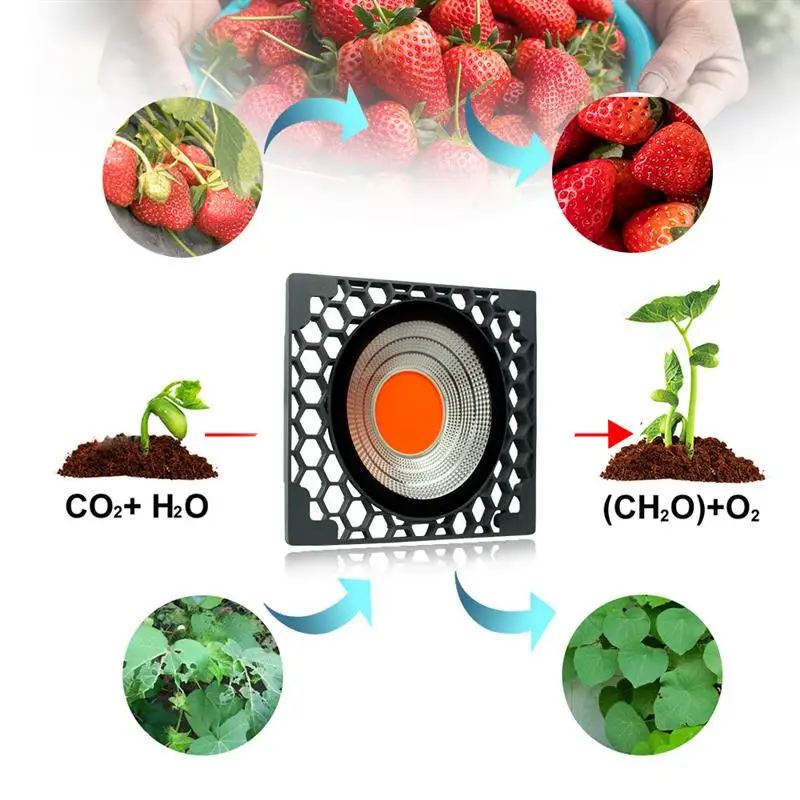 

Plant Growth Lamp Led Full Spectrum Plant Light Honeycomb Cooling Waterproof 50W Light Effect Fill Light Eu Plug
