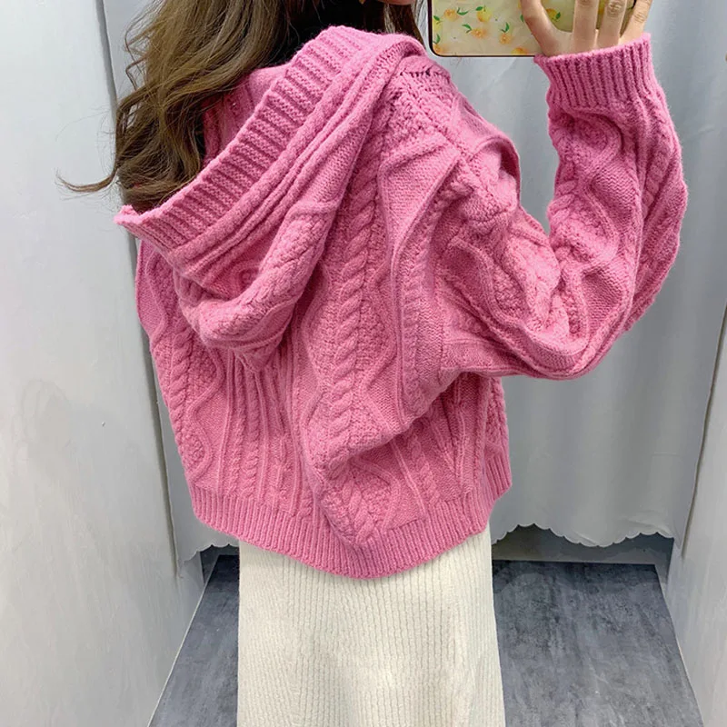 #^Special Price Women Sweater With A Hood 2020 New Arrival Autumn And Winter Loose Zipper Female Knitted Cardigan Korean Style Hot Sale A11 #^Special Price Women Sweater With A Hood 2020 New Arrival Autumn And Winter Loose Zipper Female Knitted Cardigan Korean Style Hot Sale A11