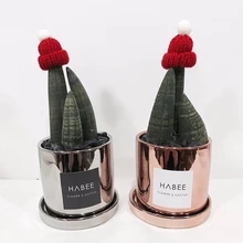 Ins Горшечное растение зеленое растение Садоводство украшения части кактус мясистые микро декорации украшения маленький орнамент