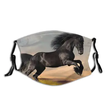 

protective mask with filter Horse anti dust PM2.5 reuse adult teen child girl